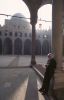Filename=ph_07~11.jpg
Filesize=25KB
Dimensions=256x400
Date added=Apr 02, 2007 ph_07~11.jpg