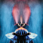 Image Image