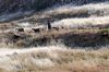 Filename=01-Jerash.JPG
Filesize=140KB
Dimensions=400x267
Date added=Jan 27, 2011 01-Jerash.JPG