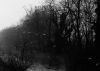Filename=04-1985-vEmiliaRedef-.jpg
Filesize=35KB
Dimensions=400x286
Date added=Mar 29, 2007 04-1985-vEmiliaRedef-.jpg