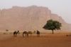 Filename=15-DesertoWadiRum.JPG
Filesize=86KB
Dimensions=400x267
Date added=Jan 27, 2011 15-DesertoWadiRum.JPG