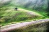 Filename=Di_Candia_Lorenzo2016.jpg
Filesize=155KB
Dimensions=400x262
Date added=Apr 30, 2017 Di_Candia_Lorenzo2016.jpg