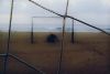 Filename=LeoneLucia-2013.jpg
Filesize=88KB
Dimensions=400x268
Date added=Jun 27, 2014 LeoneLucia-2013.jpg