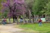 Filename=23-DSC_6859_20_23.JPG
Filesize=68KB
Dimensions=400x267
Date added=May 10, 2008 23-DSC_6859_20_23.JPG